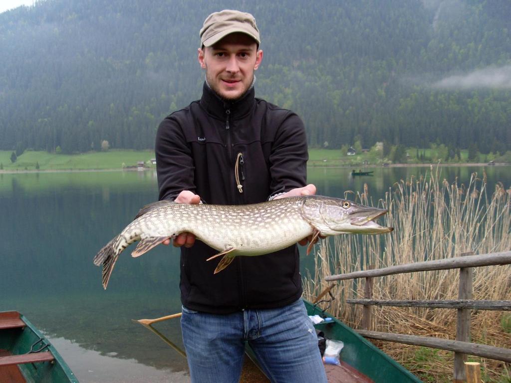 Ferienwohnungen Mitterer Weissensee Eksteriør billede